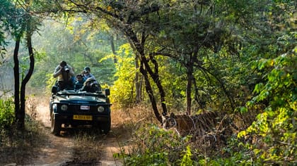 Delhi, 3-Day Trip to Ranthambore National Park with Safari - Housity