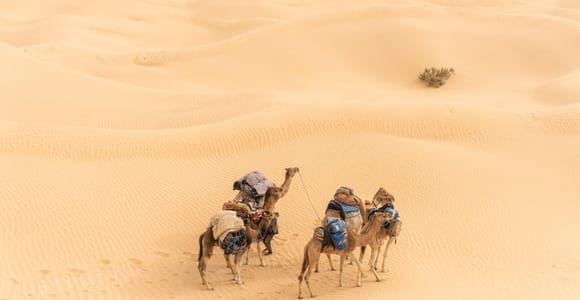 From North to South : An Epic 3 Days Desert Adventure