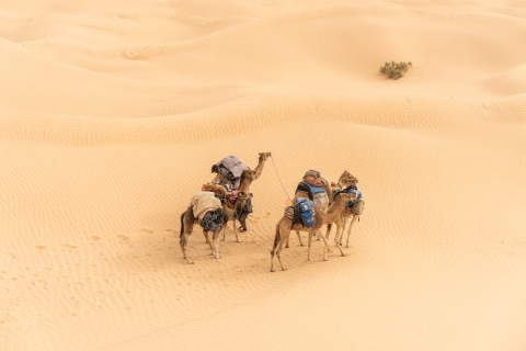Von Djerba und Zarzis: Ein episches 3-Tage-Wüstenabenteuer