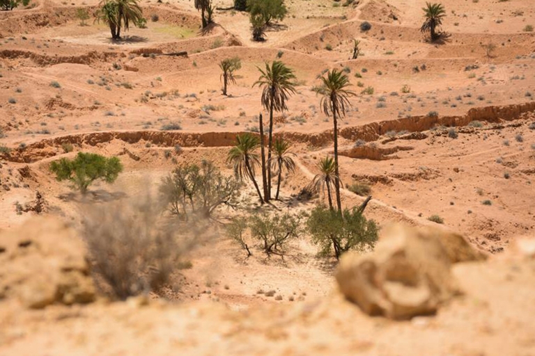 Z Djerby i Zarzis: 3-dniowa epicka przygoda na pustyni