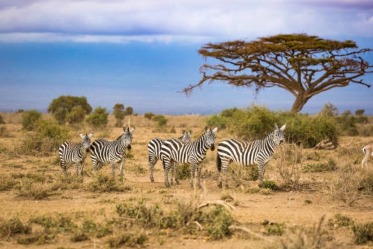 Van Nairobi: 2-daagse Masai Mara privésafari met maaltijdenMasai Mara Overnachting met een open dak Safari Van