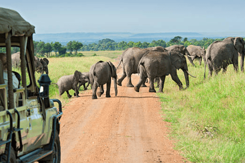 Van Nairobi: 2-daagse Masai Mara privésafari met maaltijdenMasai Mara Overnachting met een open dak Safari Van