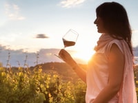 アルバ、バロロ、バルバレスコワインテイスティングツアーから - Housity