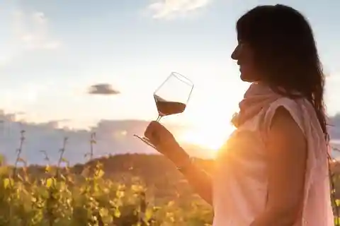 Van Alba: Barolo & Barbaresco Wijnproeverij Tour