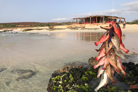 Z Boa Vista: lunch z homarem na plaży Santa MonicaPrywatny transfer