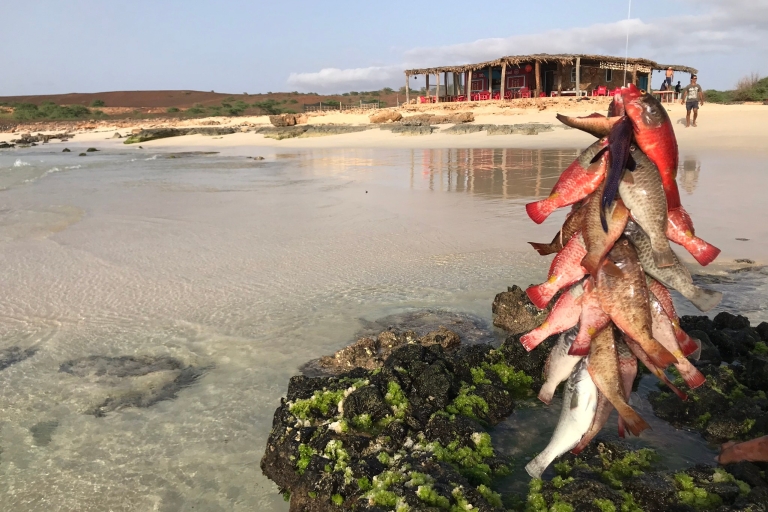 Z Boa Vista: lunch z homarem na plaży Santa MonicaPrywatny transfer