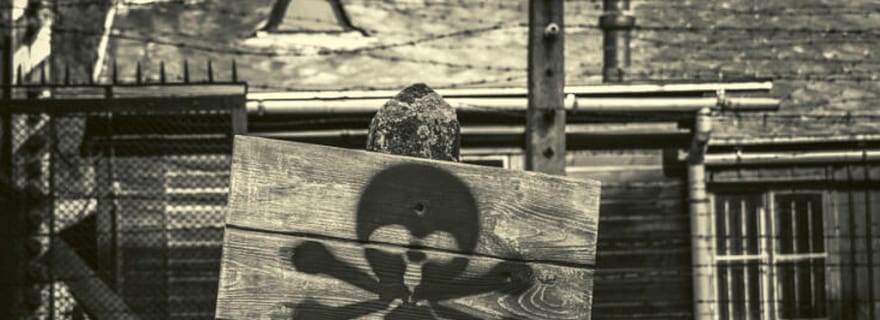 Au départ de Lodz : Visite en petit groupe d'Auschwitz-Birkenau avec déjeuner