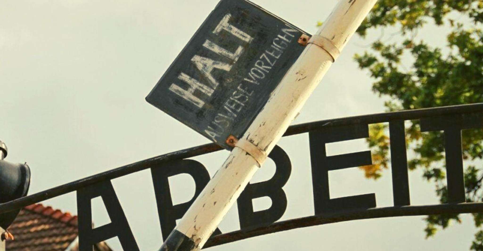 从洛兹,奥斯维辛 - 伯克瑙带午餐的小型团体参观 - Hizvo