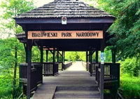 Von Warschau, Tour kleiner Gruppen in den Bialowieza National Park - Housity