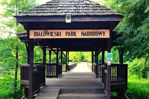 Desde Varsovia: tour en grupos pequeños al Parque Nacional BialowiezaExcursión para grupos pequeños a Bialowieza en Super Premium Car