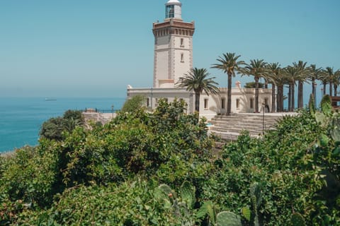 From Costa del Sol: Tangier, Morocco Day Trip with Lunch