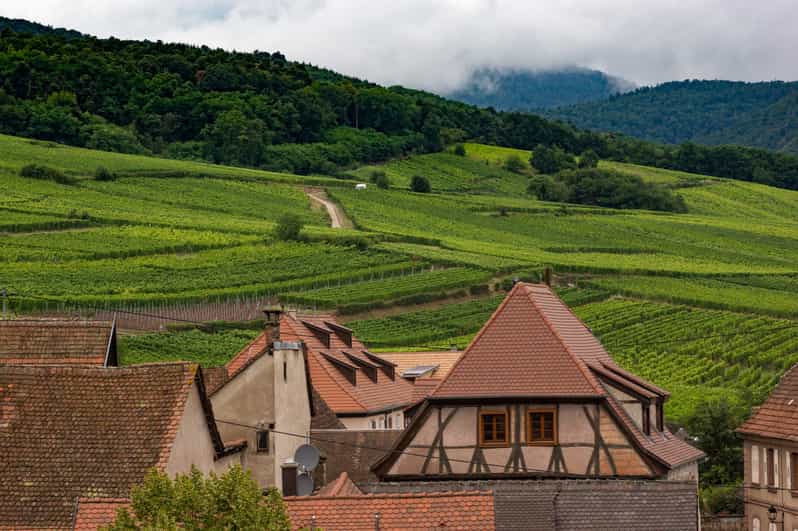 Wine route rallye