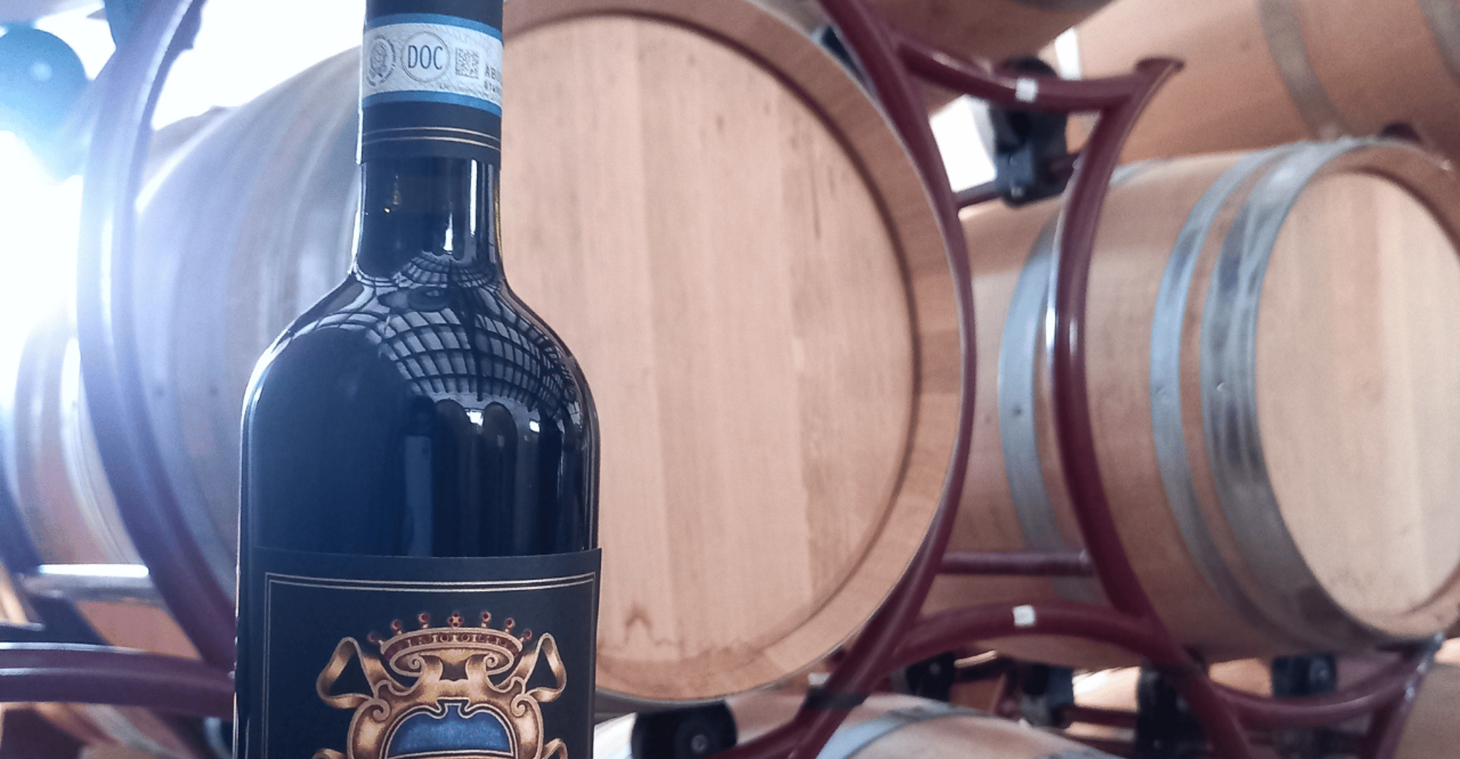 Venosa: tour della cantina Re Manfredi con degustazione