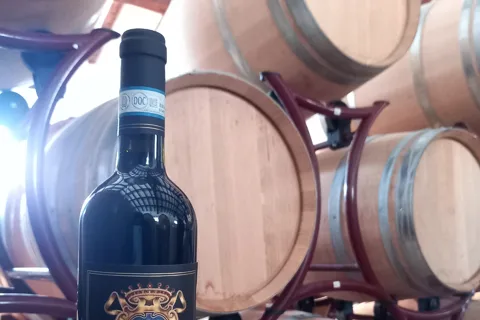 Venosa: Wycieczka po winnicy Re Manfredi z degustacjami