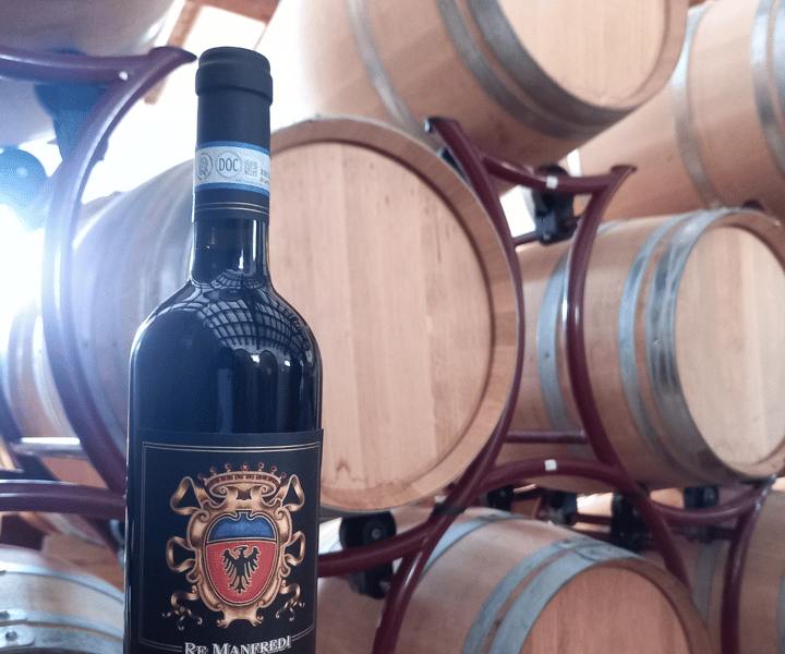 Venosa: Re Manfredi Winery Tour with Tastings