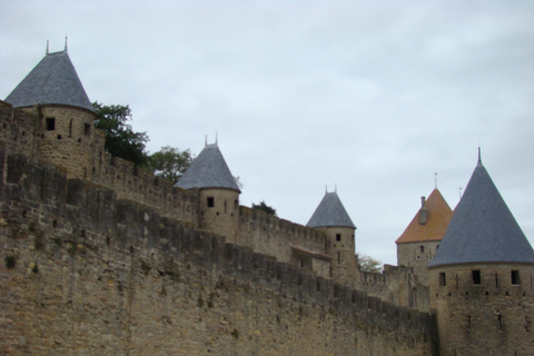 Ab Toulouse: Private Sightseeing-Tour durch Carcassonne und Albi