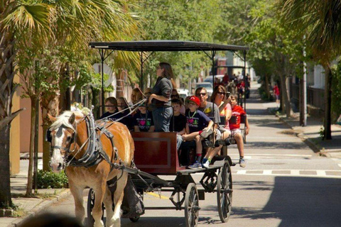 Charleston: Tour storico residenziale a cavallo e in carrozza