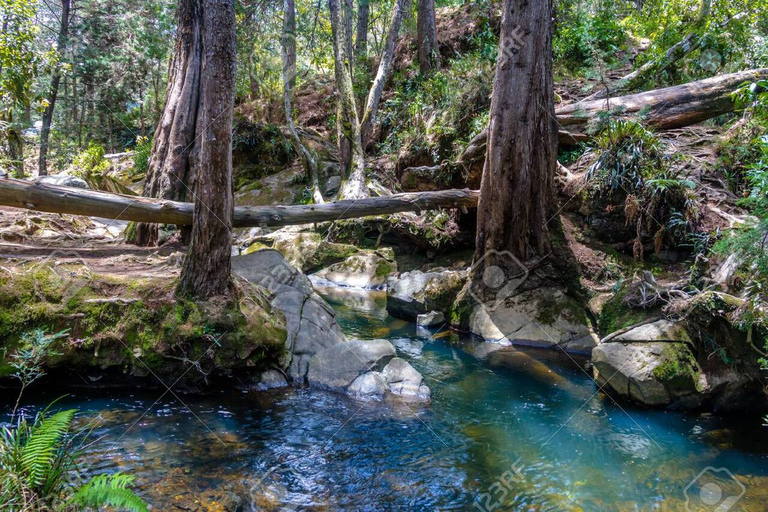 Arvi Park und Wasserfälle Medellin Stadtrundfahrt 6H