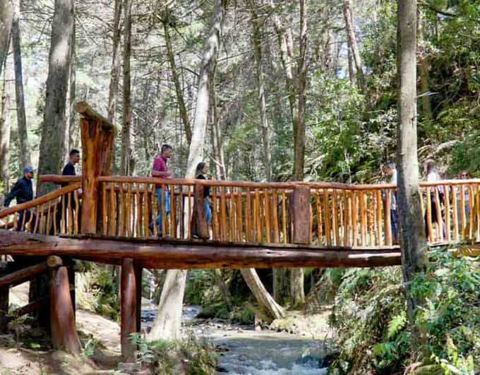 Μεντεγίν Arvi Park, Cable Car & Waterfalls Tour with Snack GetYourGuide