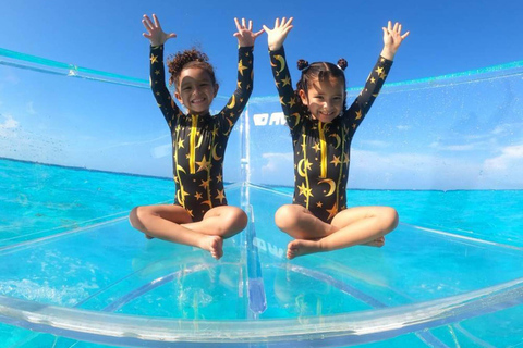 Przejrzysty rejs wycieczkowy z Cancun