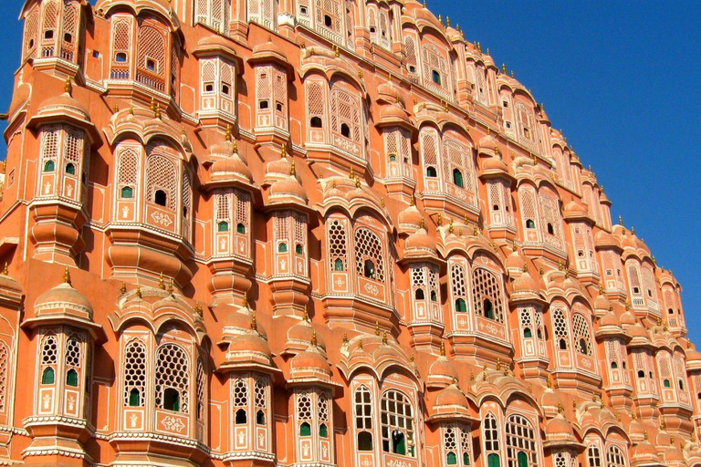 Från New Delhi: Privat dagsutflykt till Jaipur med lokal guide