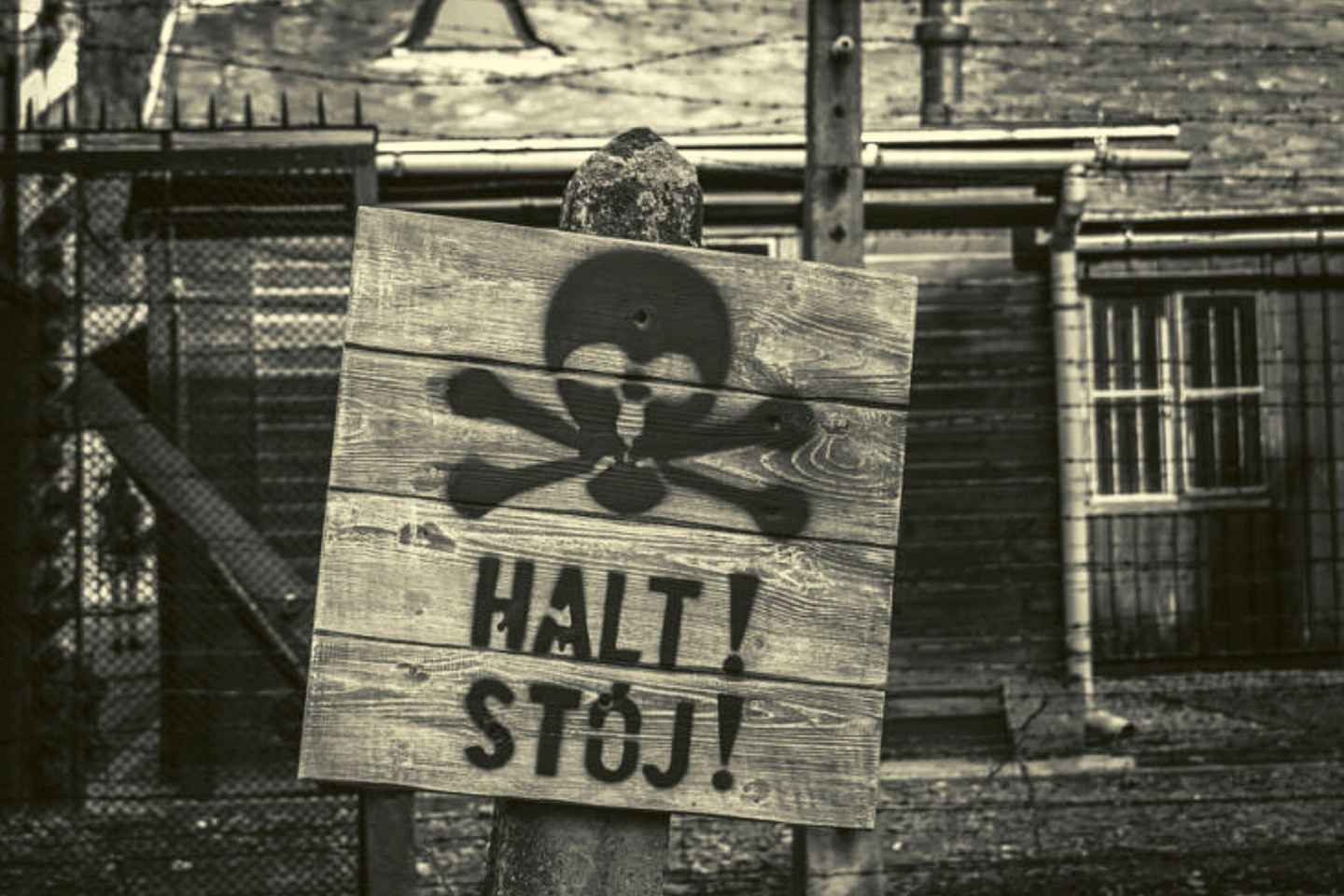 From Warsaw: Auschwitz Day Tour by Private Car with Lunch