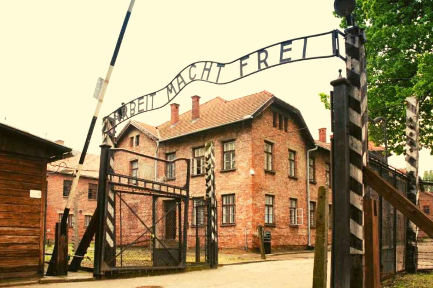 From Warsaw: Auschwitz Day Tour by Private Car with Lunch