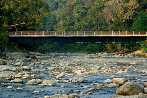 Newdelhi:private 2 nights escape to jim corbett from delhi