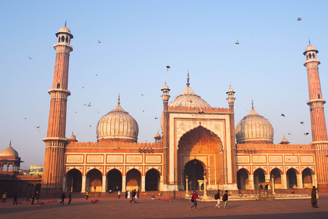 Ab Delhi: 8-stündige Tour zum Roten Fort, Qutub Minar und Humayu-GrabAlles Inklusive