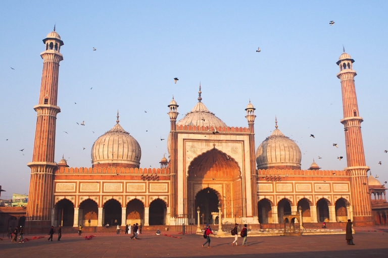 Vanuit Delhi: rondleiding door het Rode Fort, Qutub Minar en Humayu-tombe van 8 uurAlleen chauffeur, vervoer en gids