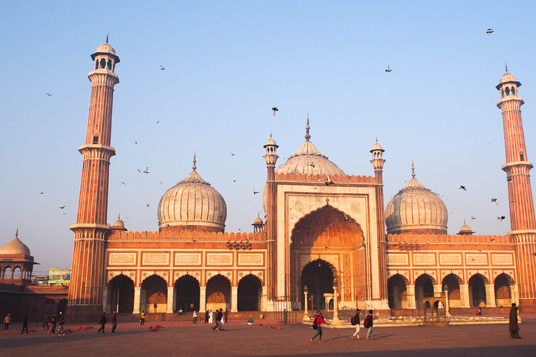 Vanuit Delhi: rondleiding door het Rode Fort, Qutub Minar en Humayu-tombe van 8 uurAlleen chauffeur, vervoer en gids