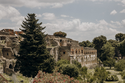 Pompeji: Guidad tur i liten grupp med expertarkeologPompeji: Fullständig hoppa över kön-tur med arkeologguide