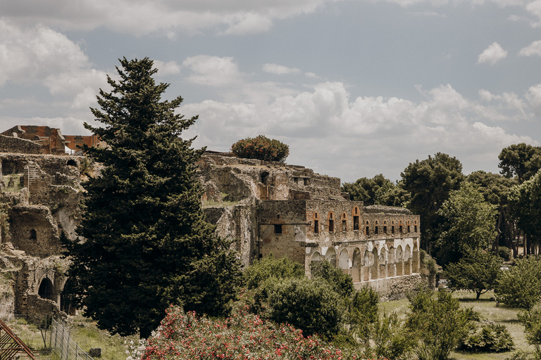 Pompeje: Pełna wycieczka z przewodnikiem archeologicznymPompeje: Pełna wycieczka z przewodnikiem archeologiem