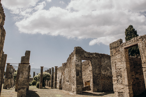 Pompeii: Small Group Guided Tour with Expert ArchaeologistPompeii: Full Skip-the-Line Tour with Archaeologist Guide