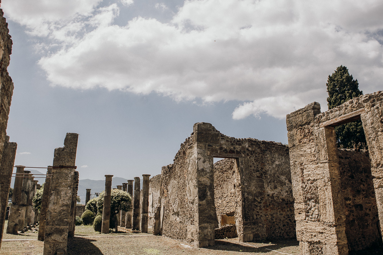 Pompéia: Tour guiado em pequenos grupos com arqueólogo especialistaPompéia: Tour completo sem fila com guia de turismo arqueólogo