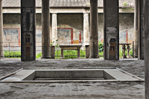 Pompeii: Small Group Guided Tour with Expert ArchaeologistPompeii: Full Skip-the-Line Tour with Archaeologist Guide