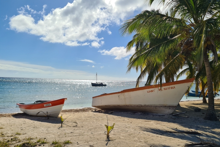 Depuis Punta Cana : Excursion combinée en bateau sur l'île de Saona et en buggy des dunes