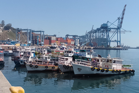 Valparaíso: Private boat ride or fishing along the coast with crew Valparaíso: Private Boat Ride or Fishing Along the Coast with Crew