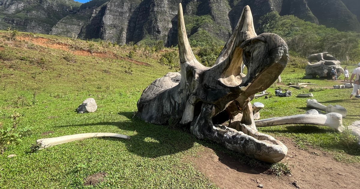 Oahu Kualoa Movie Sites, Dschungel und Buffet Tour Paket GetYourGuide