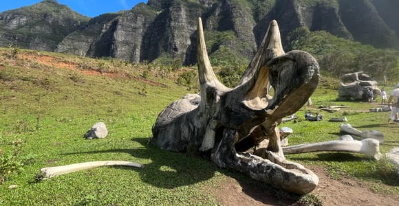 Oahu: Kualoa Movie Sites, Jungle, and Buffet Tour Package