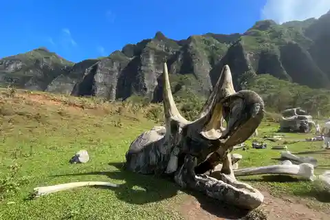 Oahu: Paquete Turístico de Lugares de Cine, Selva y Buffet en Kualoa