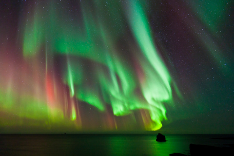 Reykjavik: premium noorderlichttour met gratis foto&#039;s