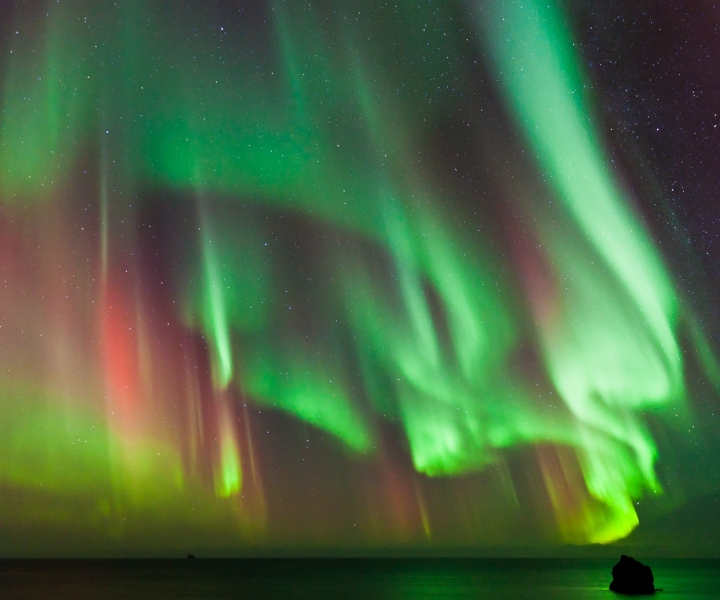 Reykjavik: tour premium dell'aurora boreale con foto gratis