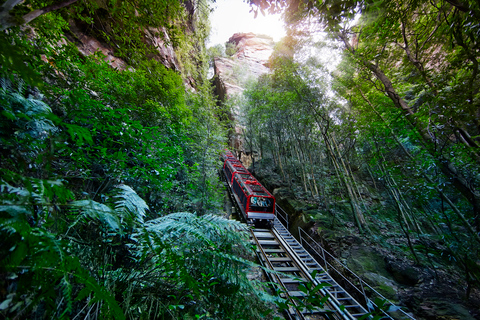 Z Sydney: Góry Błękitne i Scenic World – all inclusiveOdbiór z 132 Castlereagh St, Sydney – 6:55