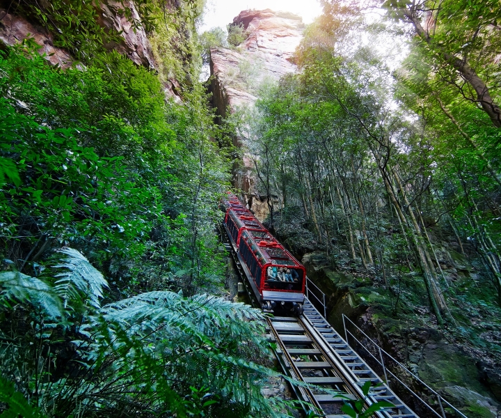 From Sydney: Blue Mountains, Scenic World All Inclusive Tour