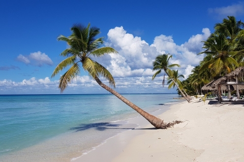 Desde Punta Cana: Excursión Combinada en Barco y Buggy por la Isla Saona