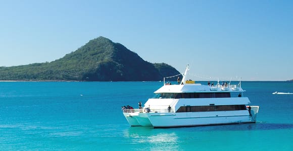 Port Stephens: Dolphin, Koalas & Sandboarding - Mandarin