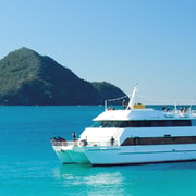 Port Stephens: Dolphin, Koalas & Sandboarding - Mandarin