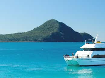 Sydney: Port Stephens Dolphin Cruise and Koalas - Mandarin
