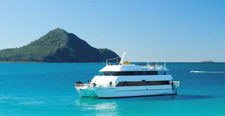 Choosing the Dolphin Cruise that is right for you! – Caribe Marina